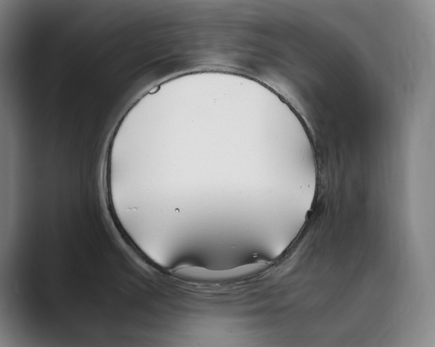 X0000088681391200706281933