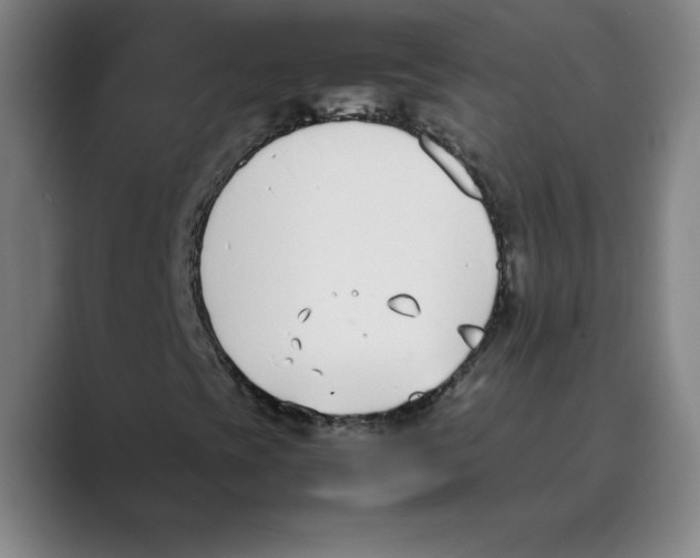 X0000088681393200706281933