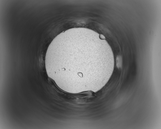 X0000088681395200706281933