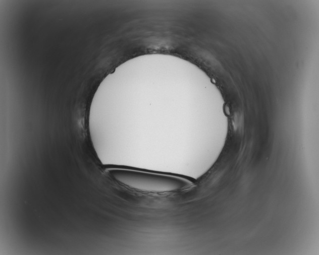 X0000088681396200706281933