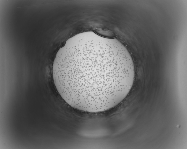 X0000088681397200706281933