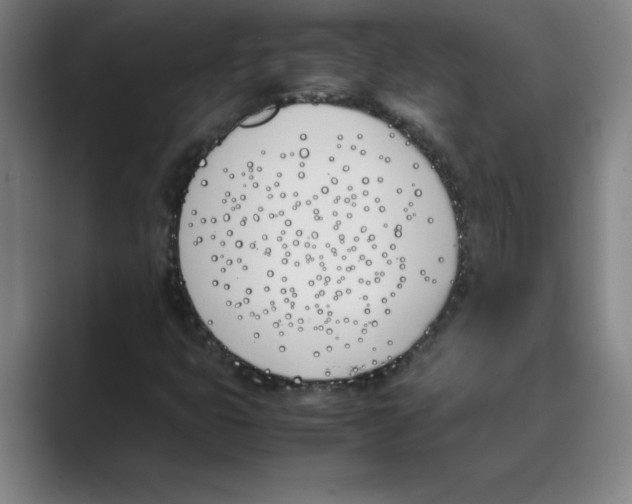 X0000088681399200706281933