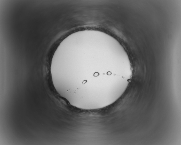 X0000088681400200706281933