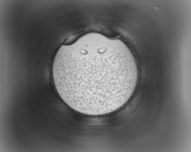 X0000088681401200706281933