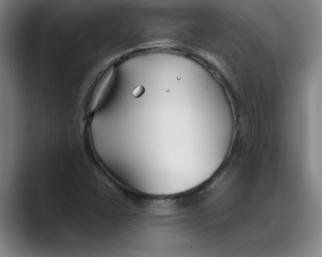 X0000088681406200706281933