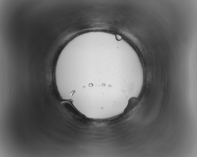 X0000088681407200706281933