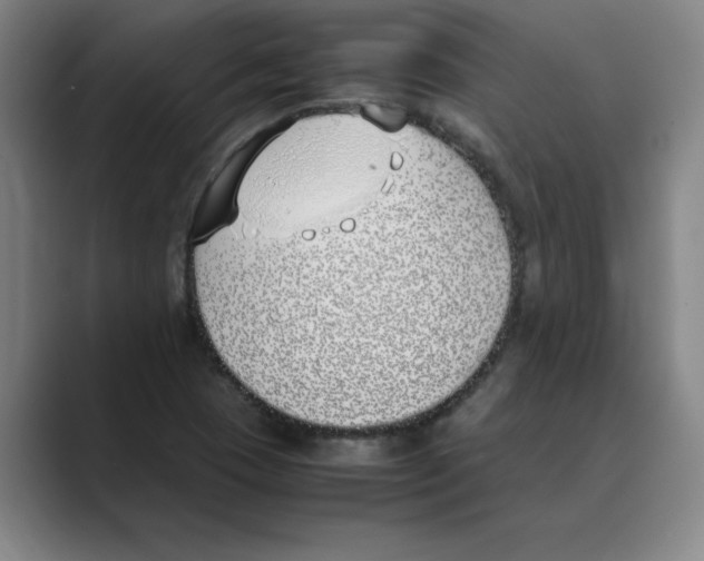 X0000088681409200706281933