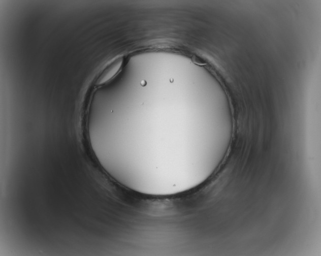 X0000088681410200706281933