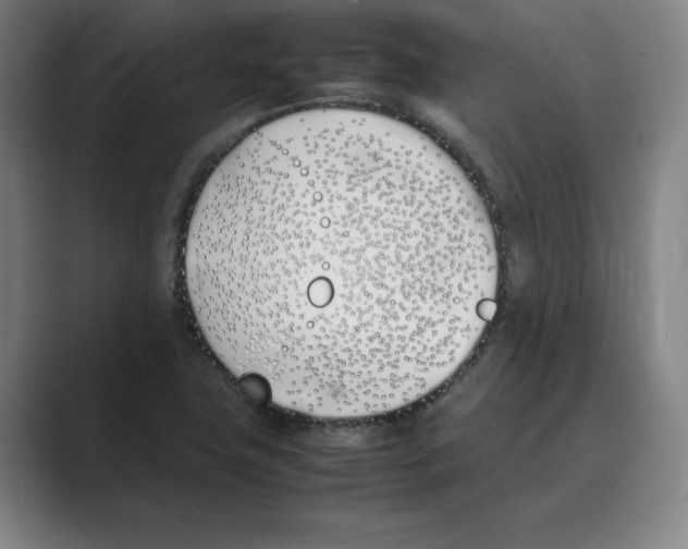 X0000088681411200706281933