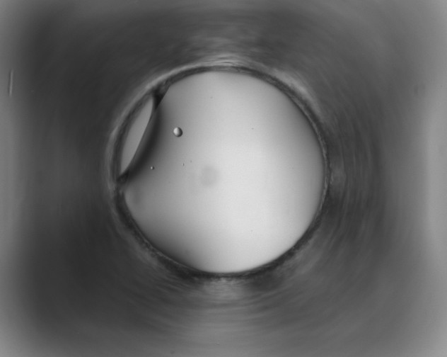 X0000088681414200706281933