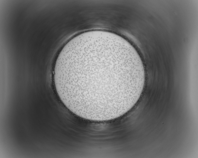 X0000088681415200706281933