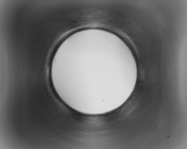 X0000088681416200706281933