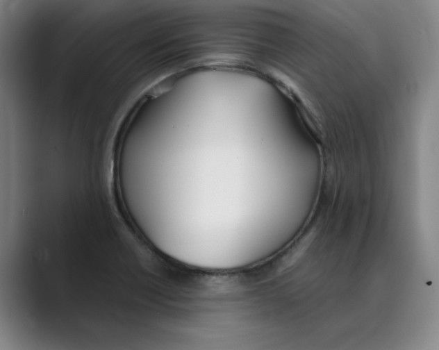 X0000088681418200706281933