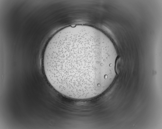 X0000088681419200706281933