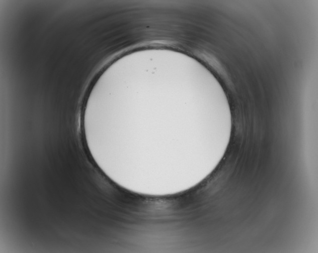 X0000088681420200706281933