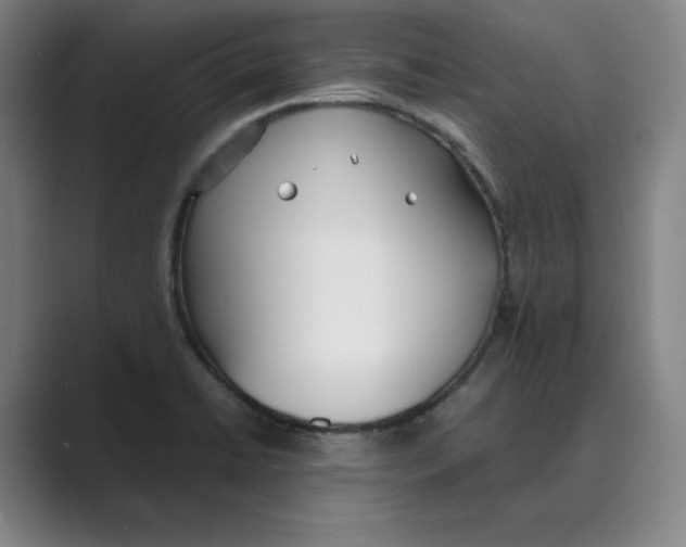 X0000088681422200706281933