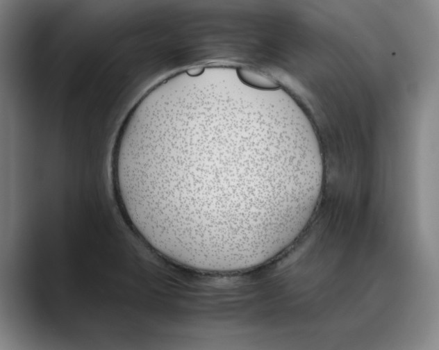 X0000088681423200706281933