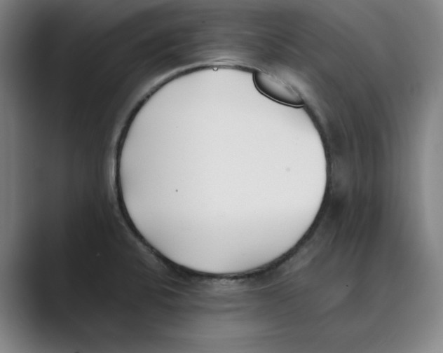 X0000088681424200706281933