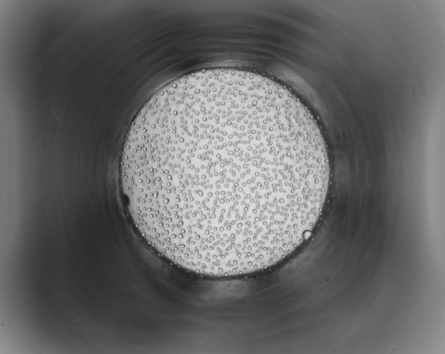 X0000088681425200706281933