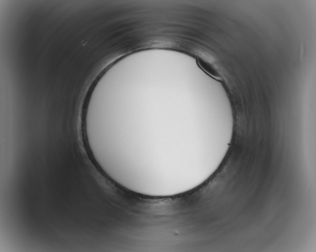 X0000088681426200706281933