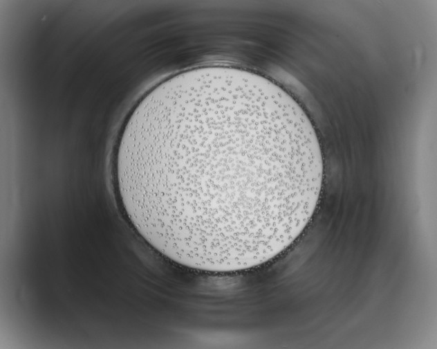 X0000088681427200706281933