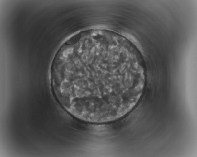 X0000088681428200706281933