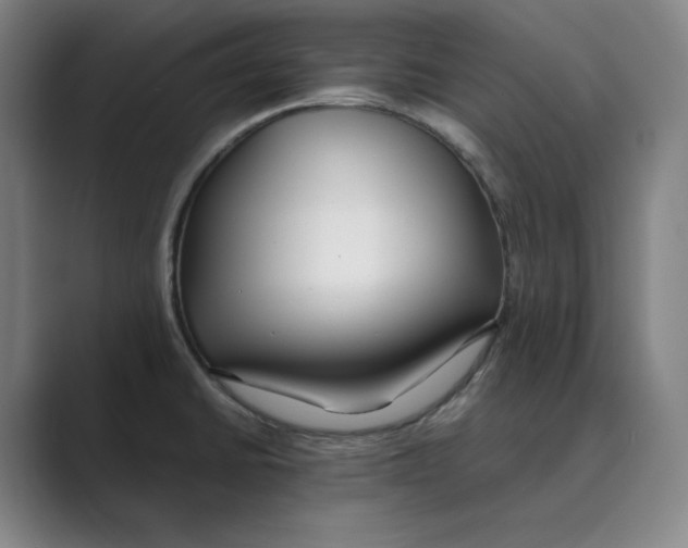 X0000088681430200706281933