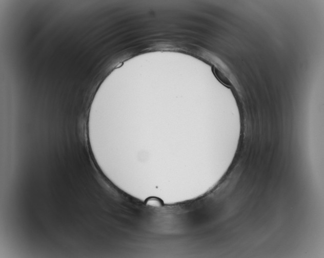 X0000088681433200706281933