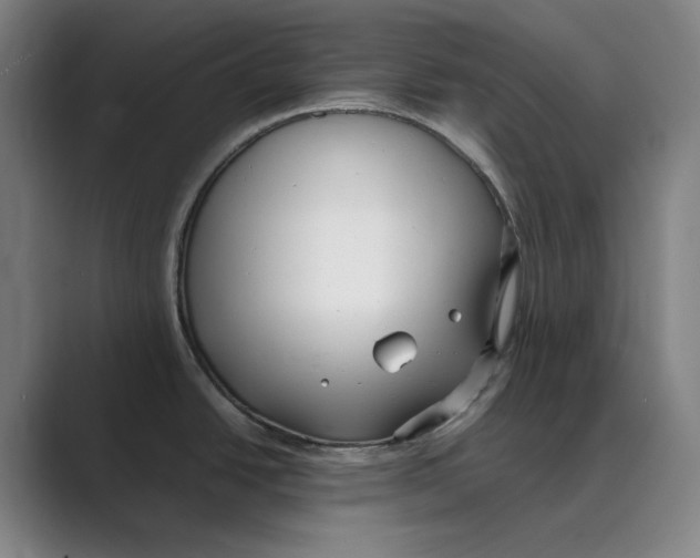 X0000088681438200706281933