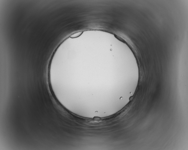 X0000088681439200706281933