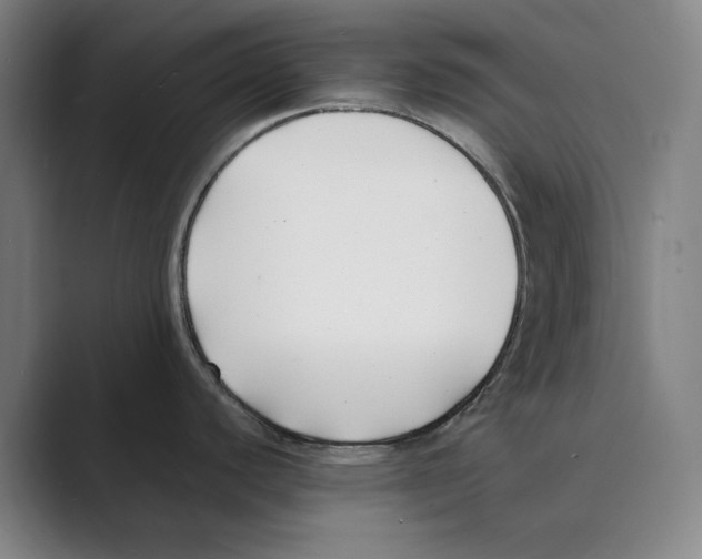 X0000088681440200706281933