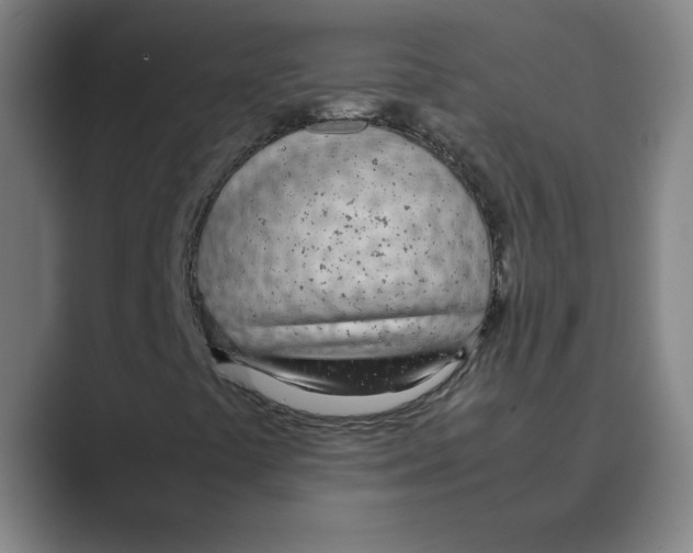 X0000088681441200706281933