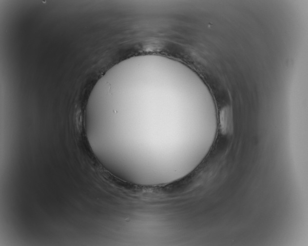 X0000088681443200706281933