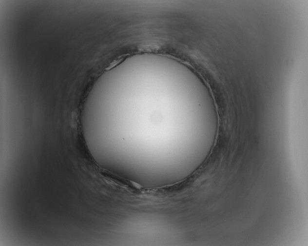 X0000088681445200706281933