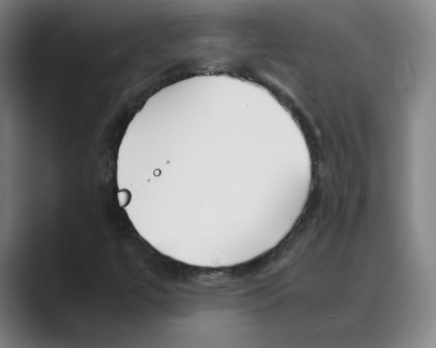 X0000088681447200706281933