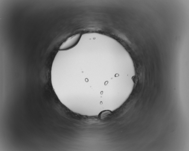 X0000088681448200706281933