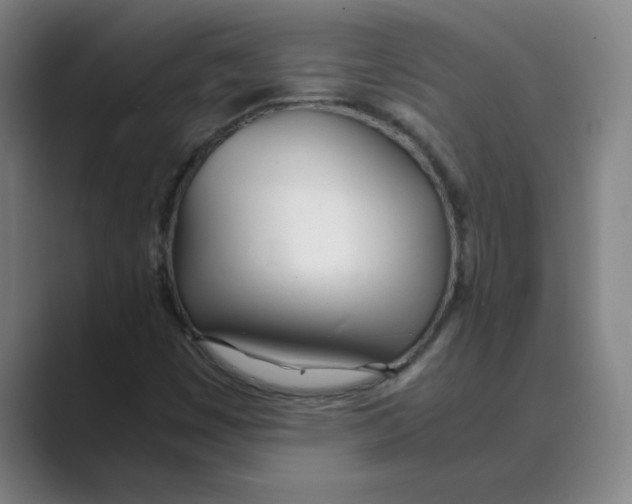 X0000088681449200706281933