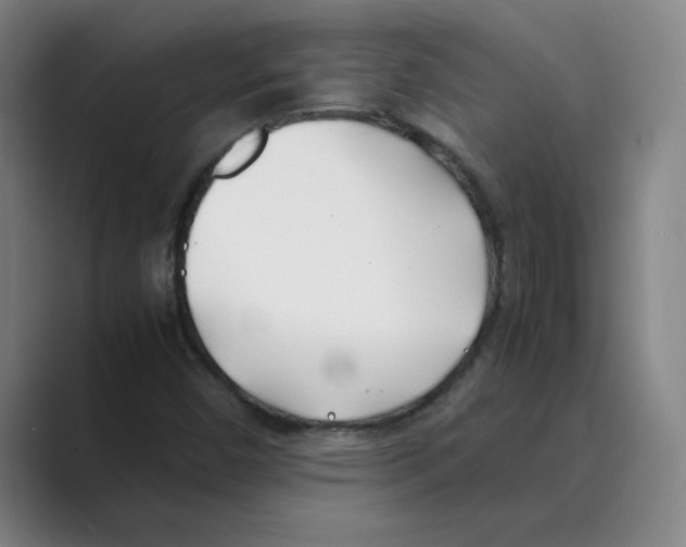 X0000088681450200706281933