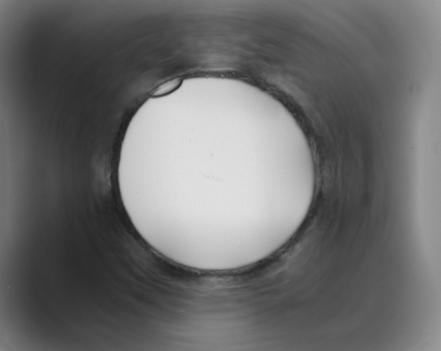 X0000088681451200706281933