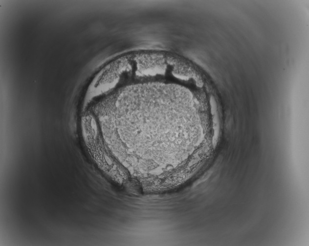 X0000088681455200706281933