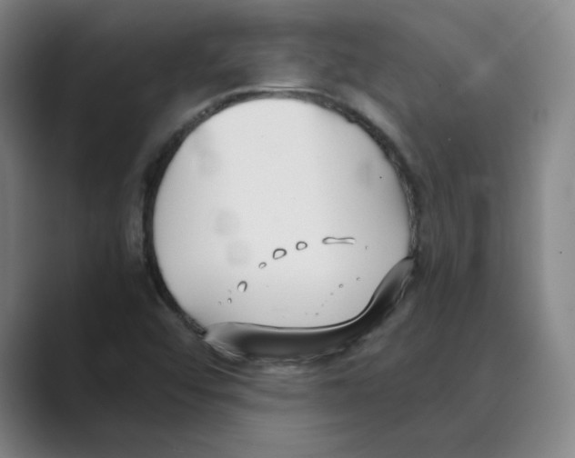 X0000088681456200706281933