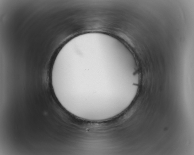 X0000088681458200706281932