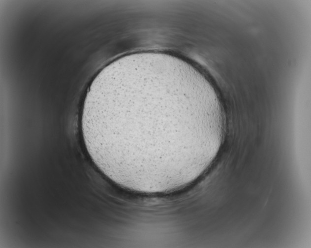 X0000088681459200706281932