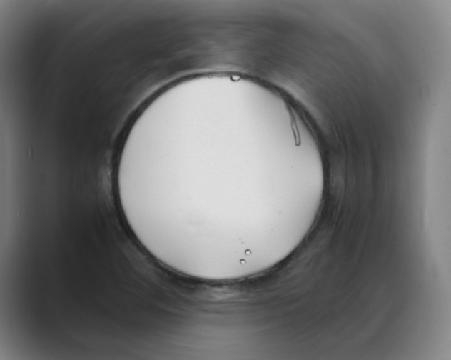 X0000088681460200706281932