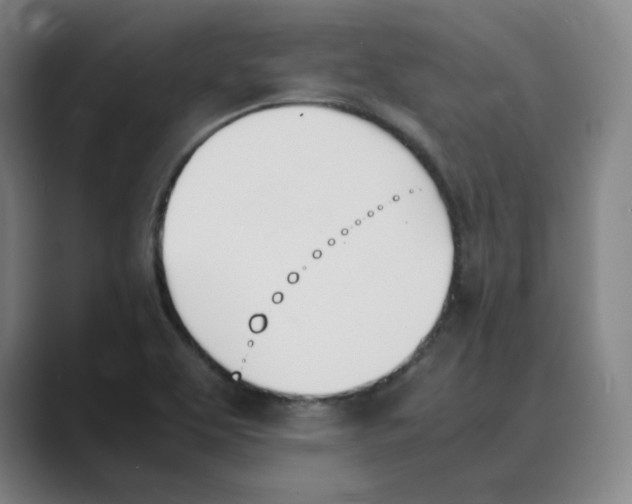 X0000088681463200706281932