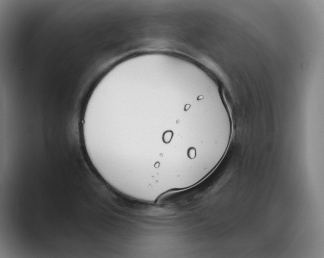 X0000088681464200706281932