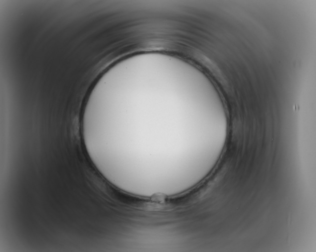 X0000088681465200706281932