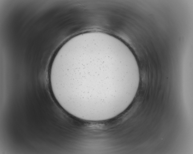 X0000088681466200706281932