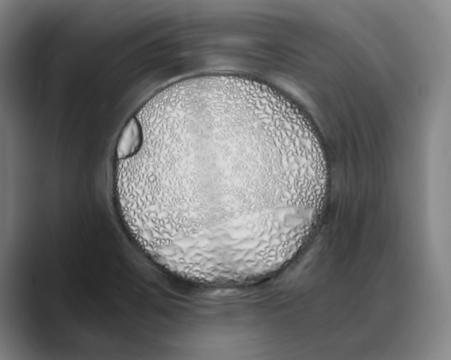 X0000088681467200706281932