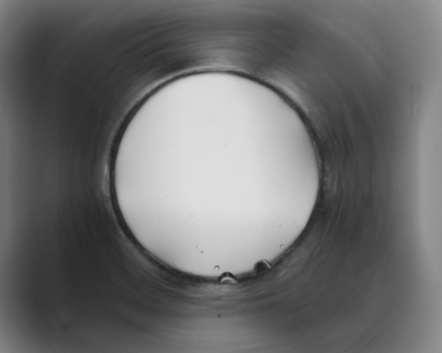 X0000088681468200706281932